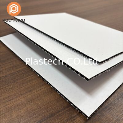 Fornecedor de Painel de Favo de Mel de Polipropileno Zhongcheng 5mm 1600gsm Chapa Plástica para Transporte Painel de Favo de Mel de Polipropileno