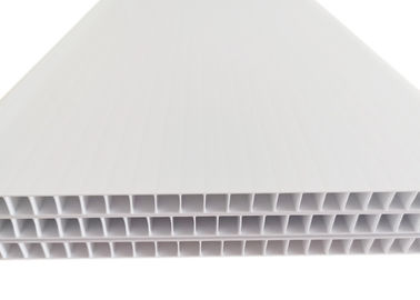 Proteção 10mm PP da construção de cartão ondulado